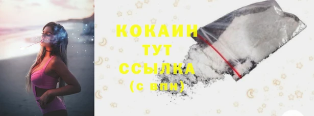 соль курить ск Дмитровск