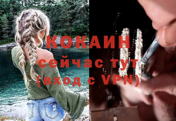 спайс Дмитриев