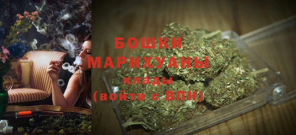 спайс Дмитриев