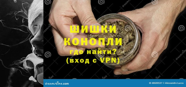 спайс Дмитриев