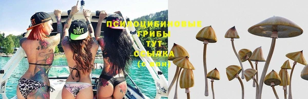 трава Дмитров