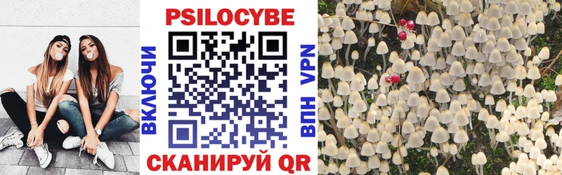 даркнет клад  Рошаль  Галлюциногенные грибы Psilocybine cubensis 